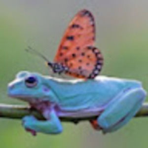 Meet your Posher, Owen